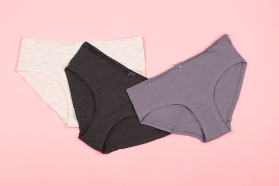 Sanitary Panties, Period Underwear