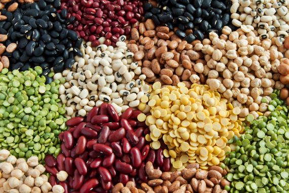 photo of multiple types of beans