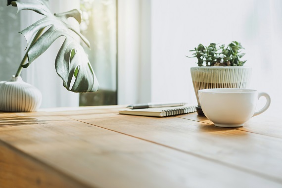 photo of a coffee cup, journal and houseplants on a table