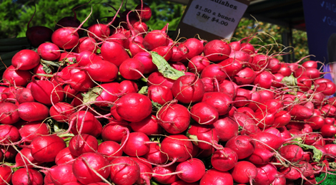 Radishes