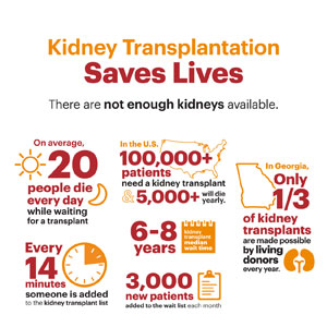 living kidney donor program