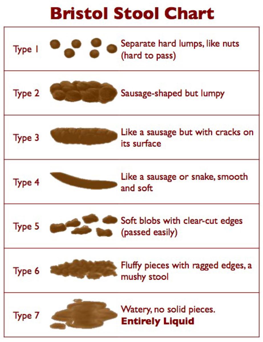 What Your Stool Says About Your Health Piedmont Healthcare