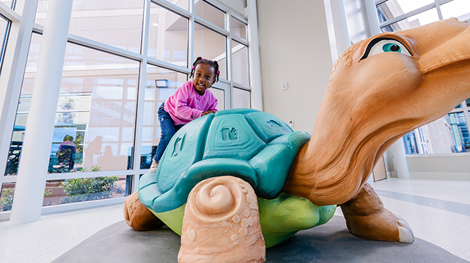 	Bill and Olivia Amos Children’s Hospital Turtle